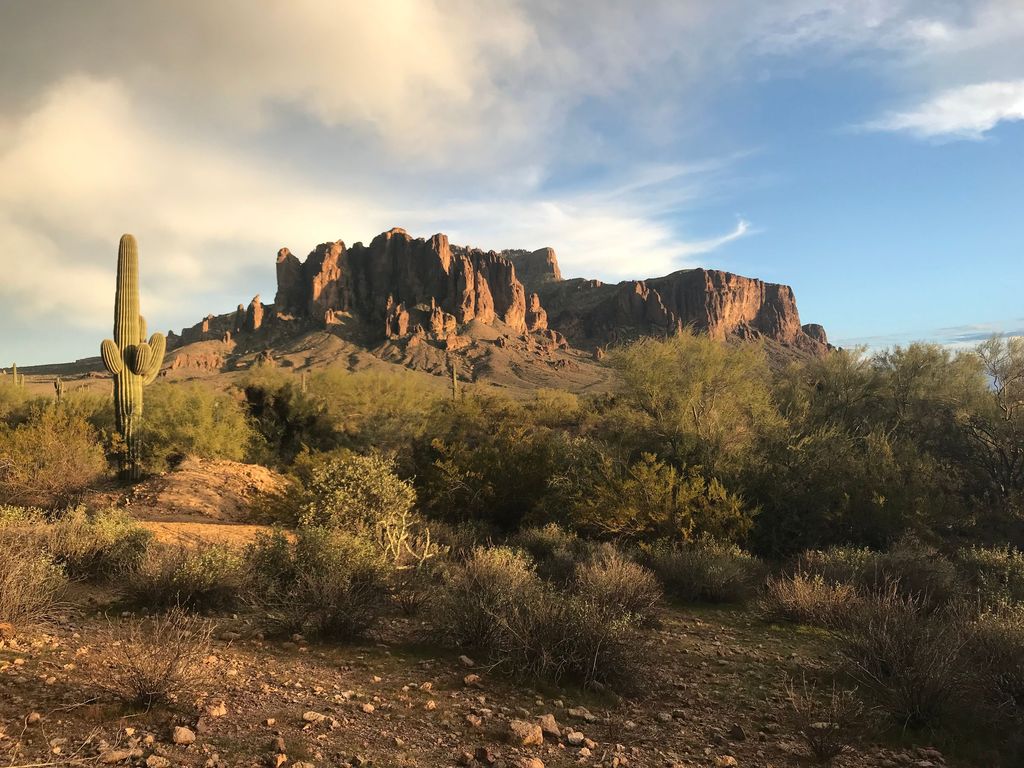 Superstition Mountains rising above Sonoran Desert scrub and a saguaro